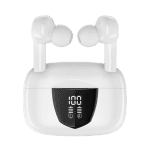 rs1_simg1.png